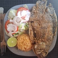 Platillo Jardín La Acasia